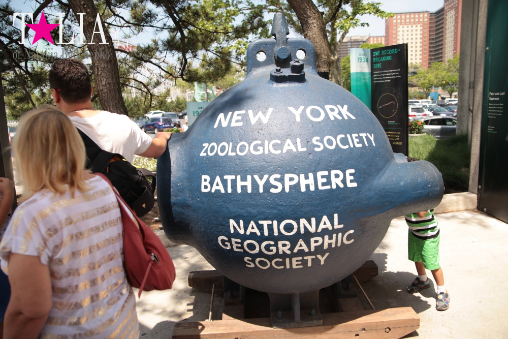 Лето в Нью-Йорке - это Кони-Айленд